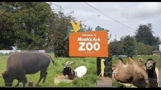 NOAH'S ARK ZOO FARM BRISTOL Uk  VLOG 2024||Come visit with me