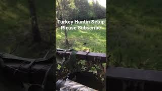 Turkey Hunting!!! #outdoors #hunting #turkey #outdoorsman #graygang #benelli #shorts #viral