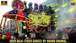 Sher Baja - Best Sound Quality | ANAND DHUMAL | HD Sound | CG04 LIVE