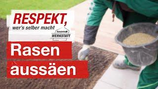 Rasen richtig säen | toom Werkstatt