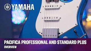 Yamaha | Pacifica Professional and Pacifica Standard Plus Guitars | Overview