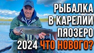 Рыбалка в Карелии, Пяозеро 2024 что нового?