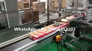 Automatic Master Carton Packing Line Case Packaging Machine Case Erector equipment Carton Filling