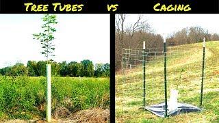 Tree Protection from Wildlife: Tree Tubes vs Tree Cages