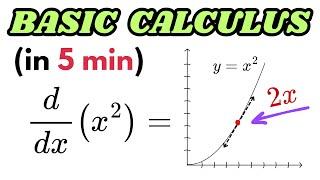 Calculus Is Overrated – It is Just Basic Math