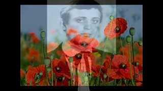 ДВА КОЛЬОРИ/ DOS COLORES / ІВАН КУЛЯС
