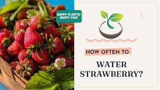  How Often to Water Strawberry? Uncover the Secret to Luscious Berries!