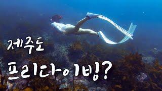 1박 2일 제주도 프리다이빙 투어 | 사실 펀 다이빙 & 스노클링 |  Jeju island Freediving  | Fundiving