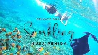 Private Boat Snorkeling Trip in Nusa Penida | Manta Point, Gamat Bay, The Wall