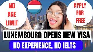 Luxembourg Is Giving Free Visa To Non EU Nationals Without Experience | You Don't Need IELTS