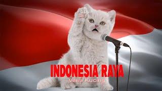 Video Kucing Nyanyi Lagu Kebangsaan Indonesia Raya || Versi Dunia Kucing TV