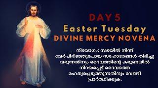 DIVINE MERCY NOVENA |  DAY 5 | കൃപയുടെ വാതിൽ തുറക്കും സമയം  | 2024 April 02