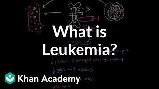 What is leukemia? | Hematologic System Diseases | NCLEX-RN | Khan Academy