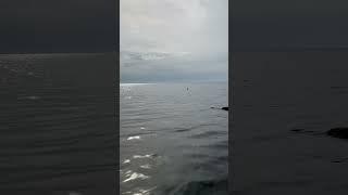 Чёрное море 25.10.23