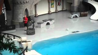 Marineland - Dolphin & Walrus Show