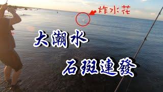 三芝淺水灣大潮水來臨 走到海裡竟然石斑連發?！ #麥克筆的魚花 #路亞 #根魚#釣場難度B級