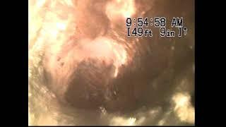 Lonetree Video