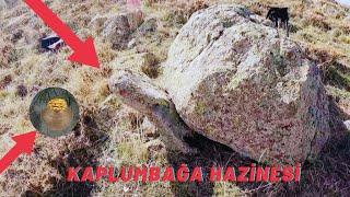 Define Kaplumbağa işareti Eşkiya Hazinesi Bulunma Anı Kaya Kasası  Hazinesi treasure hunter