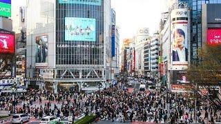 Japan Tour Day 12 - Shinjuku, Harajuku and Shibuya Tokyo 27 April 2024