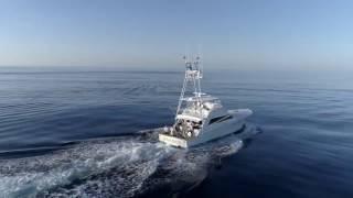 90 BAYLISS BLUE MARLIN FISHING  I  Billfish Movement TV 015