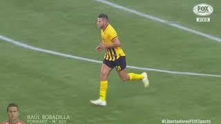 Raúl Bobadilla, Forward | Football Highlights 2020