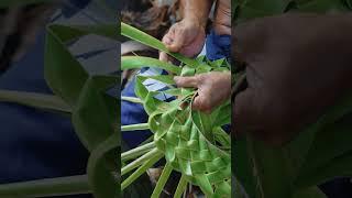 How to make a coconut hat