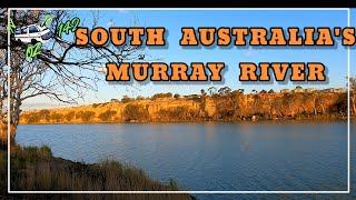 South Australia's Murray River