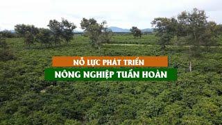 Nỗ lực phát triển nông nghiệp tuần hoàn | VTC16