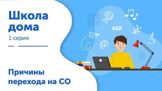 Школа дома. Серия 1. Причины перехода на семейное обучение.