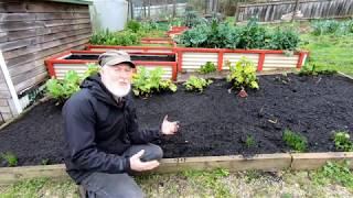 "Proper" Compost Too Difficult? Make LAZY COMPOST!