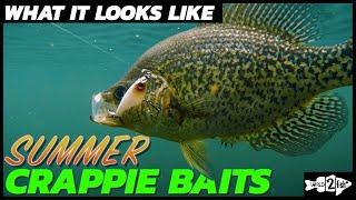 Fishing for Summer Crappies | What it Looks Like Underwater