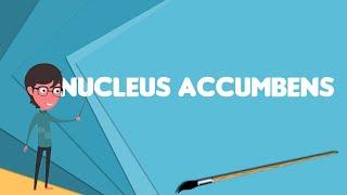 What is Nucleus accumbens?, Explain Nucleus accumbens, Define Nucleus accumbens