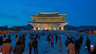 [4K HDR] Seoul Moonlight Walk Gyeongbokgung Palace Walking Tour Korea 서울 경복궁의 야간 궁궐 달빛산책 서울워커 랜선여행