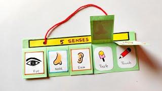 Sensory organs model for school project | How to make Sense Organs | Sensor organs craft model