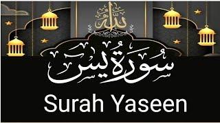 surah Yaseen Sharif ki Tilawat  full with Arabic l beautiful recitation  00161//#Tilawat #Quran 