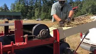 Harvesting Seed with our Belt Thresher