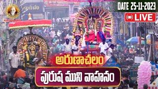 Live Tiruvannamalai | అరుణాచలం కార్తీక బ్రహ్మోత్సవాలు | పురుష ముని వాహనం | Arunachalam Temple