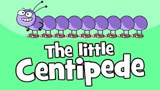  Centipede Children's Song | Funny Animal Songs | Hooray Kids Songs & Nursery Rhymes | Animals