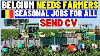 Belgium Seasonal Work Visa 2023-2024: Agricultural Jobs In Belgium For Everyone: Belgium Work Permit