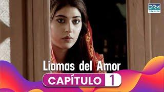 Llamas del amor | Capítulo 1 | Doblado En Español | novela india | C5H4O