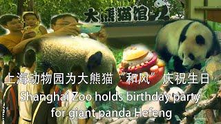 上海动物园为大熊猫和风举行生日聚会/Shanghai Zoo holds birthday party for giant panda Hefeng