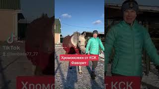 как вылечить перелом? #постойлошадей #кінніпрогулянки #школаверховойезды #верховаїзда