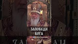 Заповеди Бога | еп. Августин (Анисимов)