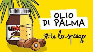 OLIO DI PALMA | #TELOSPIEGO!