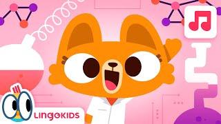 JOBS SONG ‍‍| Songs for kids | Lingokids