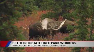 Rep. Neguse introduces bill to reinstate fired National Parks workers