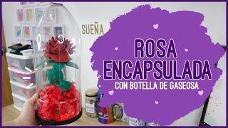 ROSA ENCAPSULADA CON FOAMI Y BOTELLA DE GASEOSA | Soy Maria Zapata