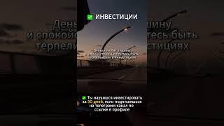 Деньги любят тишину #инвестиции #акции