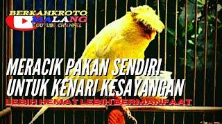 MERACIK PAKAN KENARI SENDIRI || Mudah murah dan berkualitas