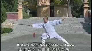 Shaolin Kung Fu weapon: dragon's fountain sword